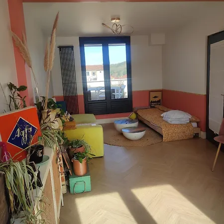 Rooftop 75 M2, Appt 65 M2, 2 Rooms, Coeur * 卡奥尔